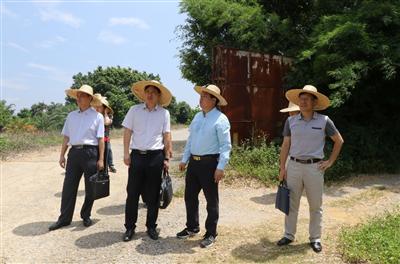 趙伯廷董事長一行前往田陽縣進行項目調(diào)研