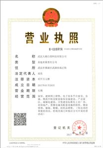 武漢大都白領(lǐng)科技有限公司簡(jiǎn)介