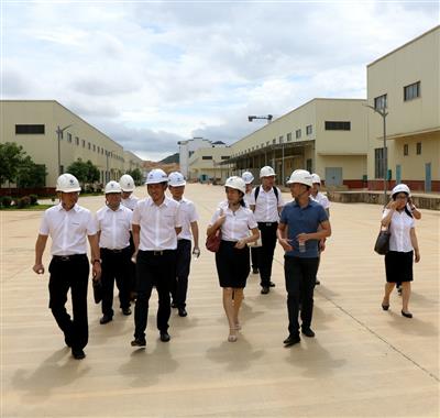 【不忘初心  牢記使命】趙伯廷到崇左市金品公司開(kāi)展主題教育專題調(diào)研