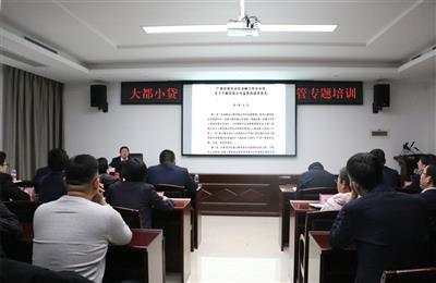 大都小貸公司組織開(kāi)展行業(yè)規(guī)范專題培訓(xùn)