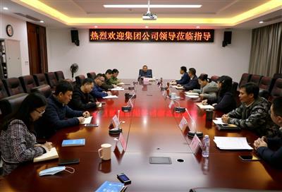 汪啟來到公司調(diào)研指導(dǎo)