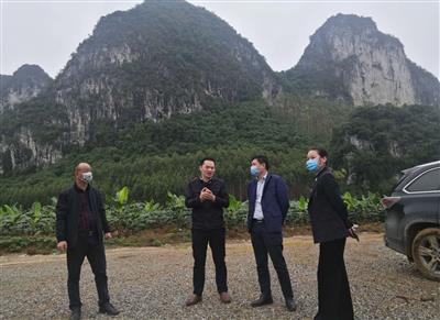 趙伯廷率隊考察武鳴縣石灰?guī)r礦項目
