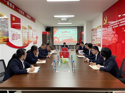 大都小貸公司黨支部開展黨史學(xué)習(xí)教育專題黨課