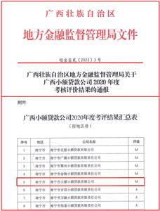 大都小貸公司獲評2020年度全區(qū) “AA級”資質小額貸款公司
