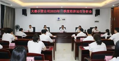大都小貸公司召開2023年一季度經濟運行分析會